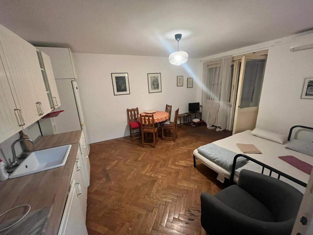 Downtown Belgrade Hostel And Apartments Екстер'єр фото